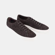 Sprint in Suede - Dark Brown